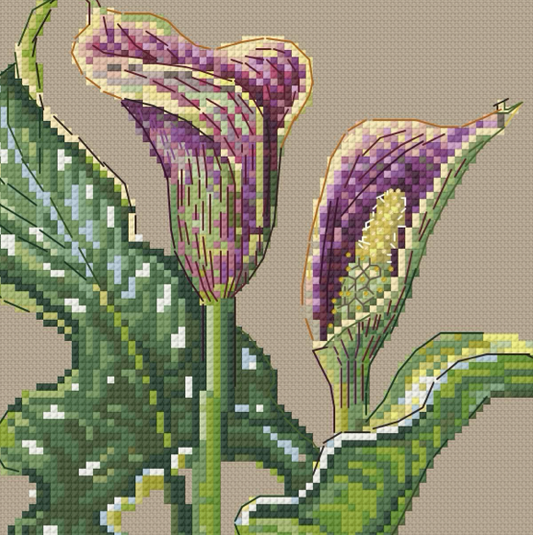 Cross-stitch zoom in illustration of two arum/ calla lilies with green leaves on a beige background.