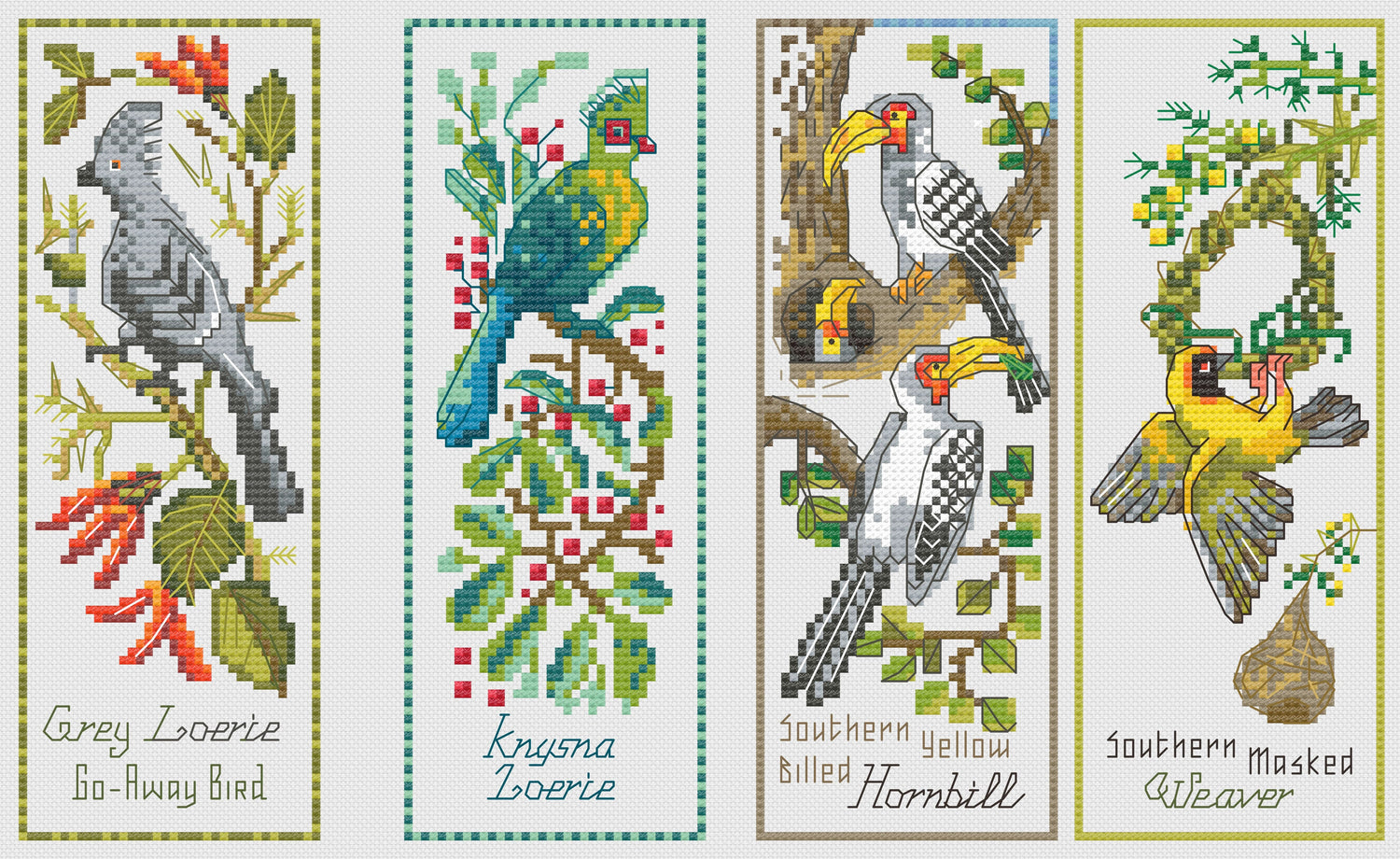 Birds of Africa