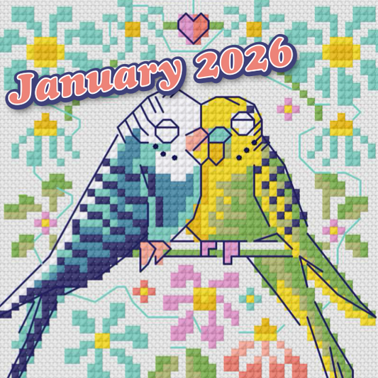 Budgies - January 2026
