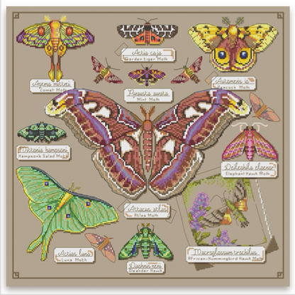 A counted cross-stitch pattern featuring various illustrated moths with their scientific names, set against a beige background with a decorative border.