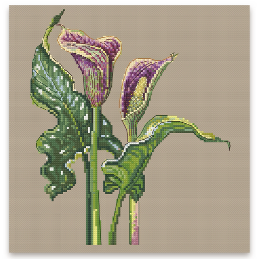 Botanicals: Zantedeschia Cross Stitch Pattern | Purple Calla Lily | Golden Frog Stitches